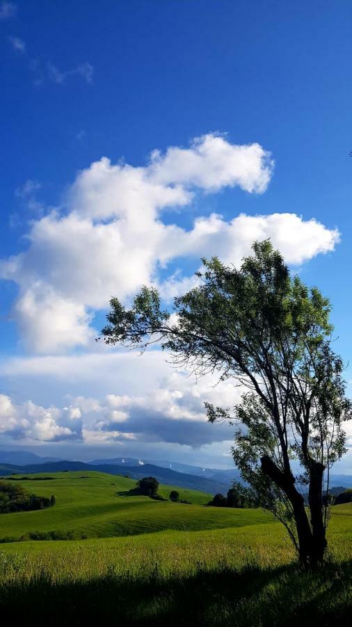Borgo Fontaccia Bed & Breakfast San Gimignano Exterior foto